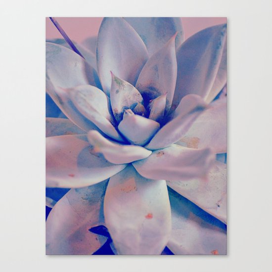 #184 Canvas Print