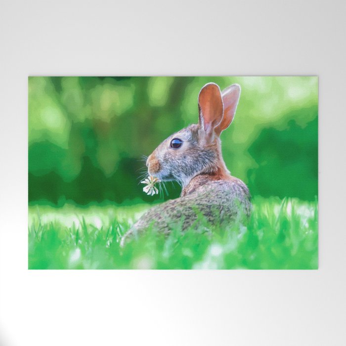 Cute Fluffy Bunny Welcome Mat By Hommie Society6