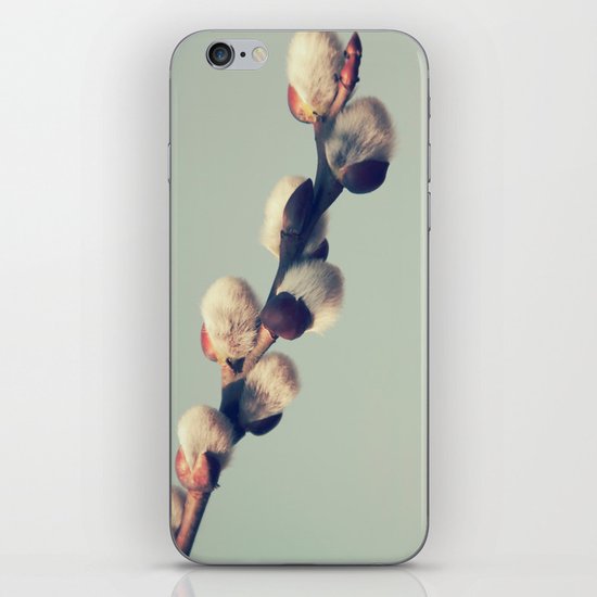 Fluffy gray iPhone & iPod Skin