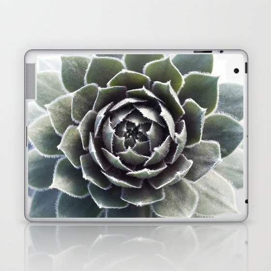 Succulent Close Up Cactus Botanical Photography Spring Laptop & iPad Skin