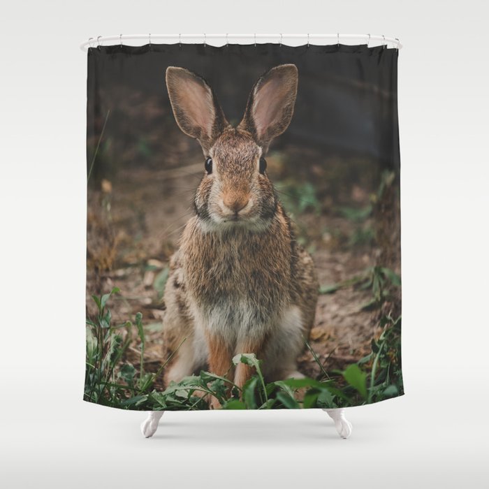 Bunny Rabbit Portrait Shower Curtain
