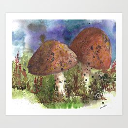 Toadstools Art Print