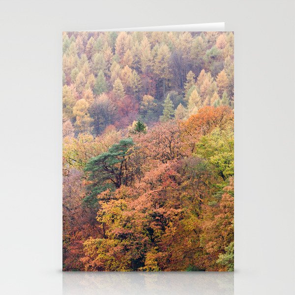 Autumn Trees Panorama Stationery Cards
