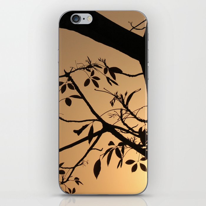 Sunset in a Tree iPhone Skin