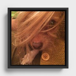 FARRAH MAiSEY (shelter pup) Framed Canvas