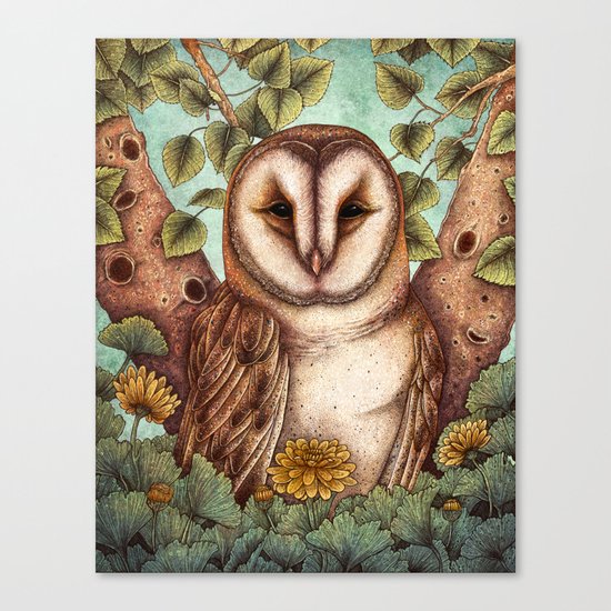 Spring Barn Owl Canvas Print