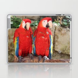 Mexico Photography - Two Red Parrots On A Branch Laptop Skin