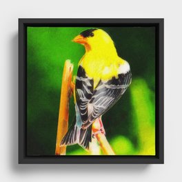Bright Yellow Feathers  Framed Canvas