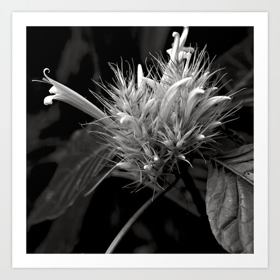 Bizzarre Flower Charm Art Print