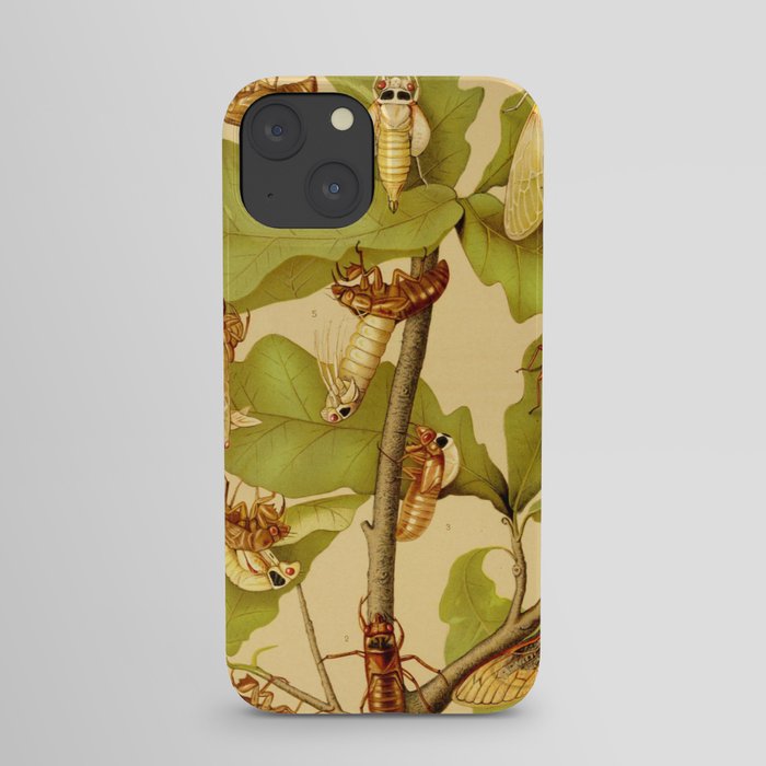 Transformation of Cicada Septemdecim by Lillie Sullivan, 1898 (benefitting The Nature Conservancy) iPhone Case