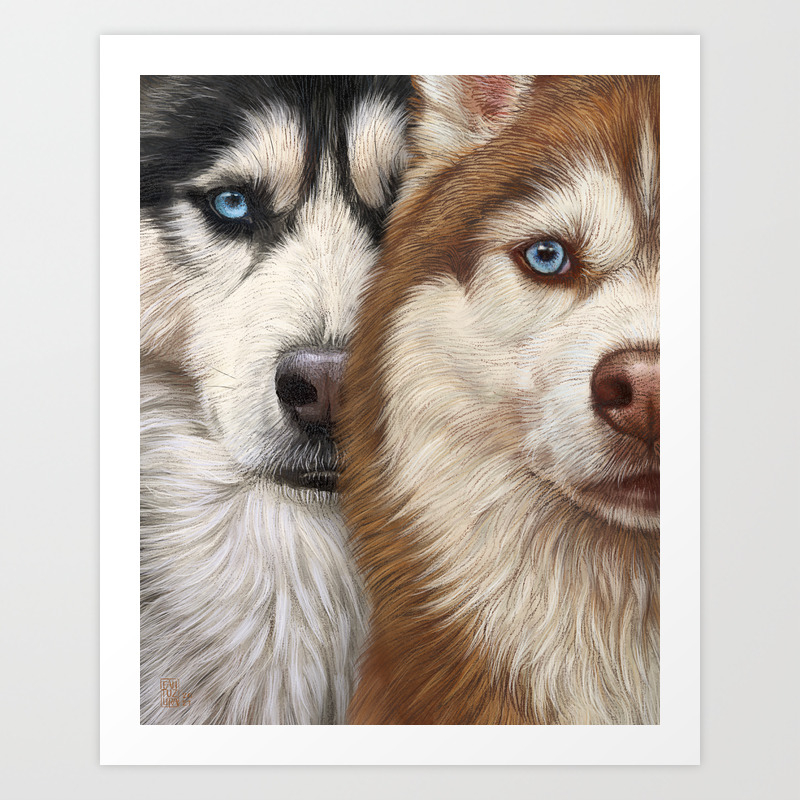 Two Nice Siberian Husky Dogs With Blue Eyes Black And White Husky Dog And Sable And White Husky Dog Husky Lover Gift Modern Art Print Home Decor Art Print By Fantuzura