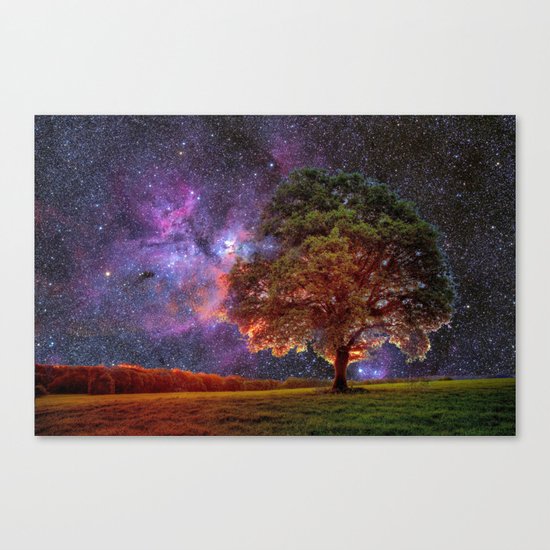 Galaxy Garden Canvas Print