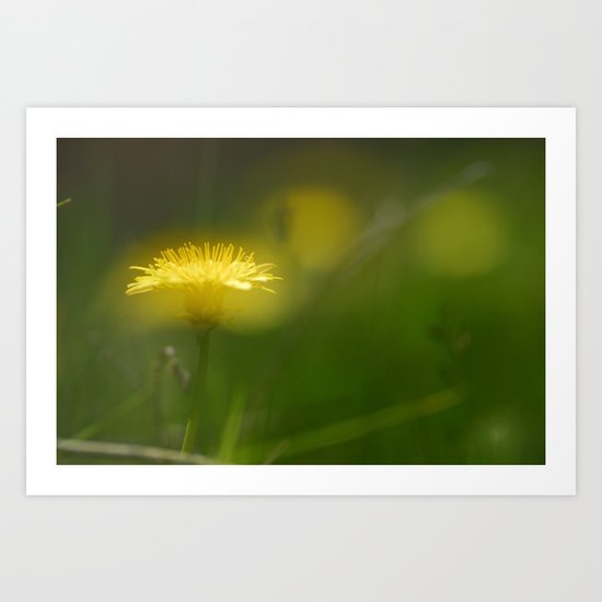 "Mountain light over the flowers" Art Print