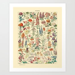 Floral Design, Farmhouse Decor, Botanical Prints, Cottagecore Decor, Plant Art - Wildflower Art Print