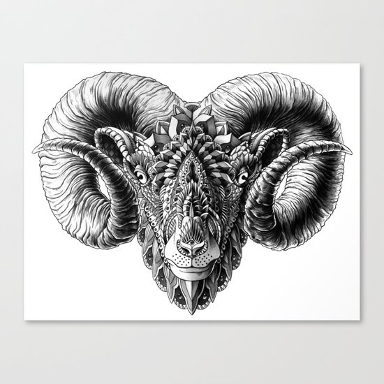 Ram Head Canvas Print