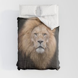 Closeup Portrait of a Male Lion Comforter