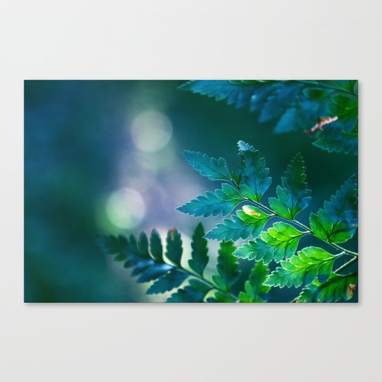 Prayer to the Moon Canvas Print