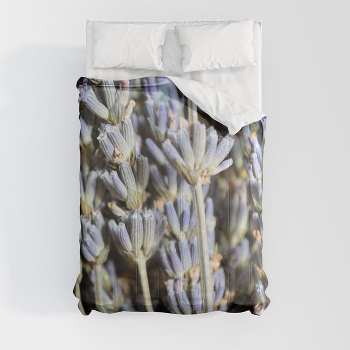 Sweet Lavender Bunch Comforter