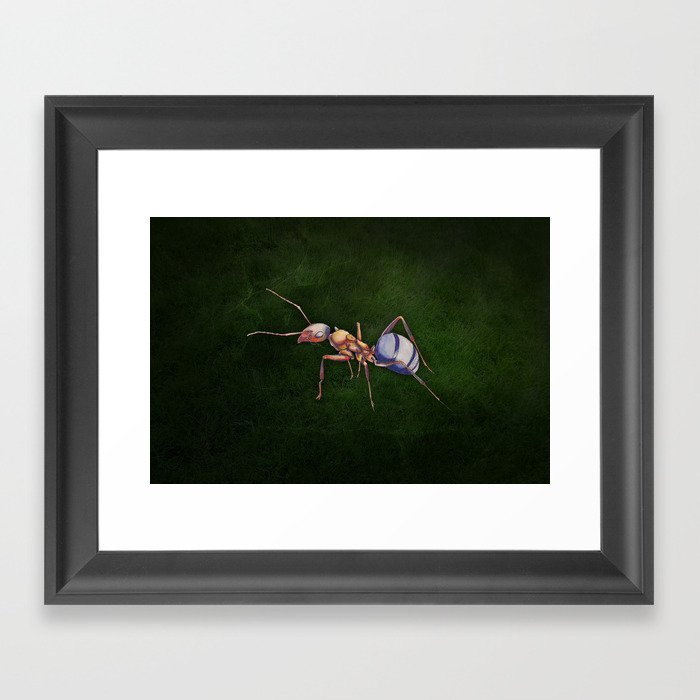 Formica (Wood Ant) Framed Art Print