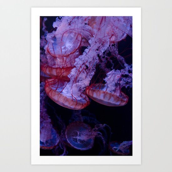 La méduse sociale Art Print