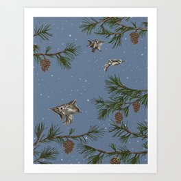 FLYING SQUIRRELS IN THE PINES (twilight) Art Print