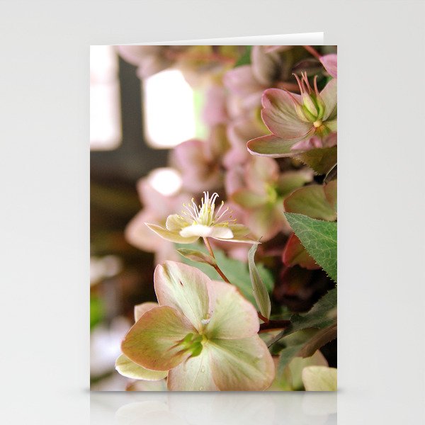 Vintage Style Botanical Florals Stationery Cards