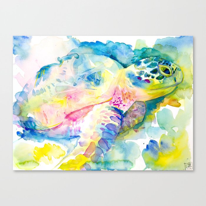 Sea Turtle Watercolor Illustration by Julie Lehite, Julesofthesea Canvas Print