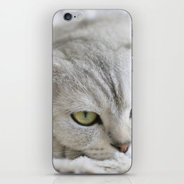 Cute Grey Cat iPhone Skin