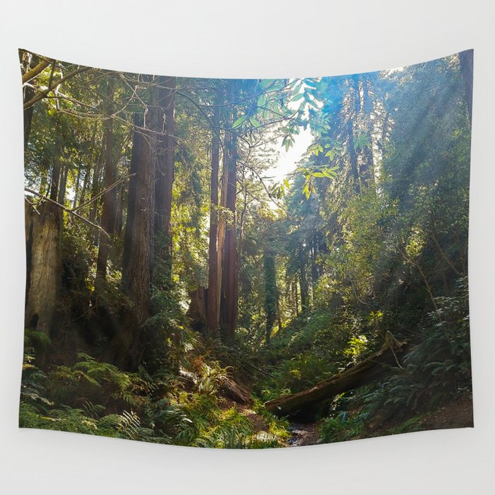 Creek In The Redwoods Wall Tapestry