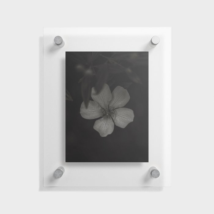 Manacá da Serra - Black and White Flower #1 Floating Acrylic Print