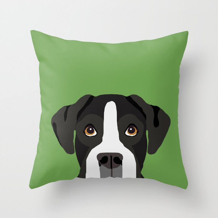 Throw Pillow