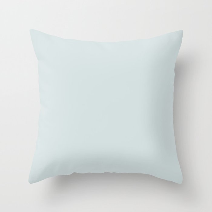 Spa blue hotsell throw pillows