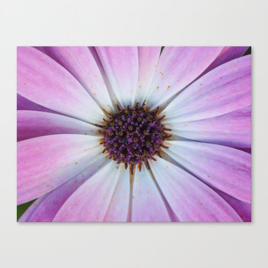 Purple Flower Canvas Print