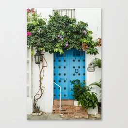 Blue door with Plants in Cartagena Colombia - wooden door - Caribbean vibe Canvas Print