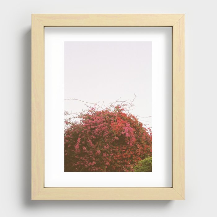 Bloom Recessed Framed Print
