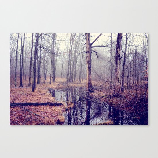 tread softly Canvas Print