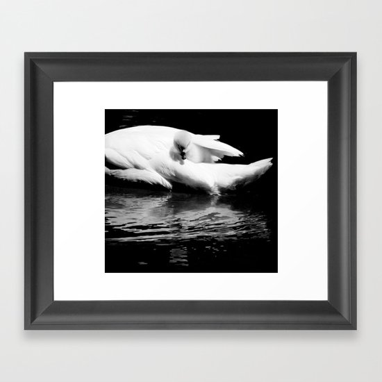 baby swan Framed Art Print