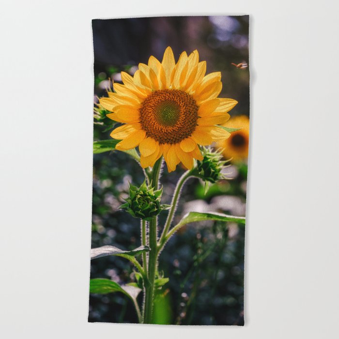 Sunflowers at Noon. Photograph Beach Towel