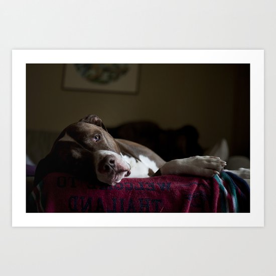 Dog Art Print