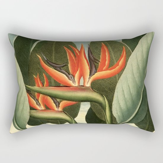 Birds of Paradise : Temple of Flora Rectangular Pillow