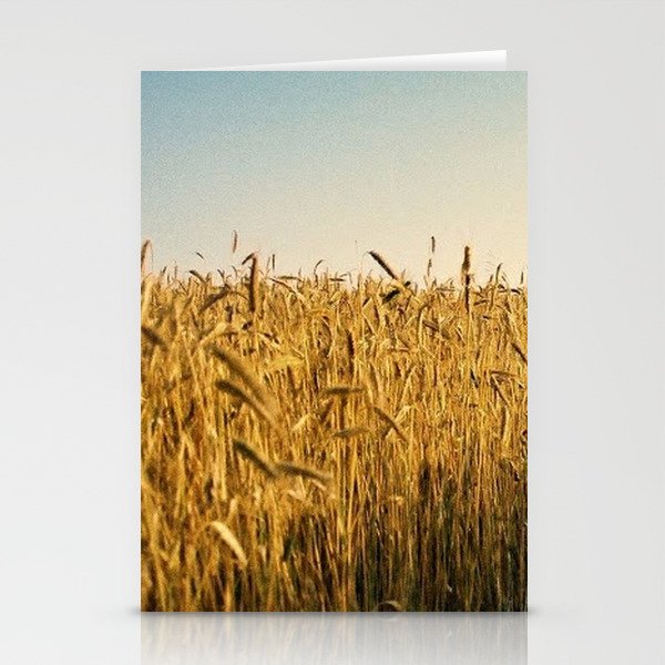 corn Stationery Cards