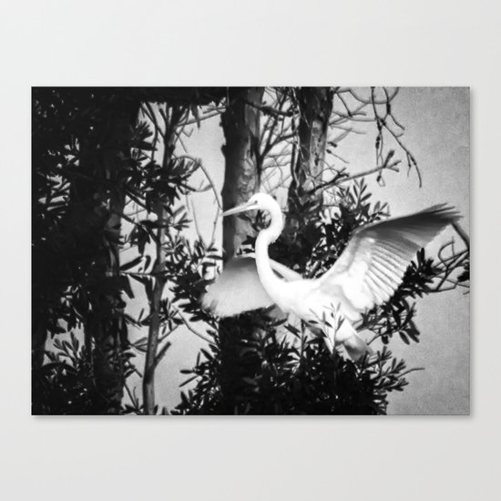 Great Egret In The Trees Canvas Print