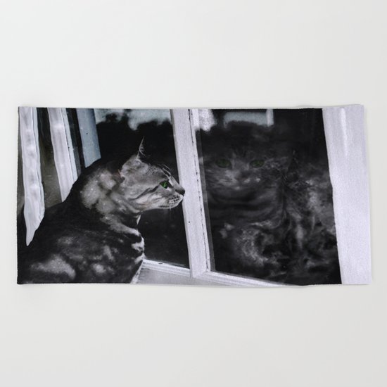 Cat Reflection And The Snapped Menace Beach Towel