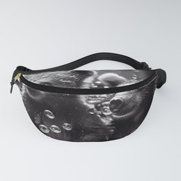 Bath Time for Cubs Fanny Pack