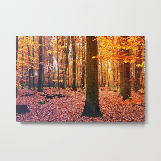 Take a seat Metal Print