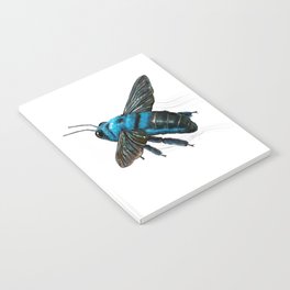Blue carpenter bee scientific illustration art print Notebook
