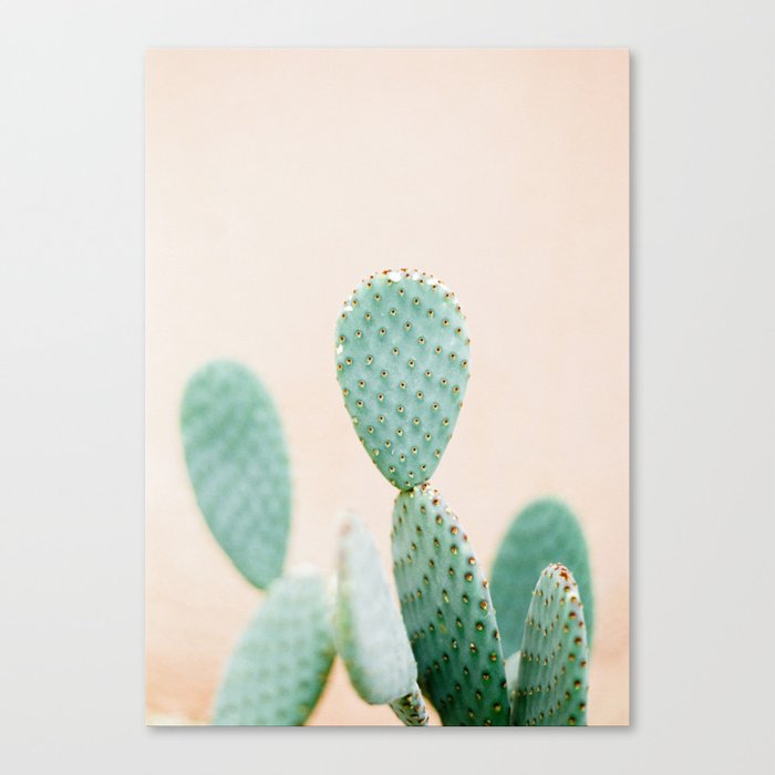 Cactus Photo Print Botanical Cactus Morocco Modern Wall Art Pastel Botanical Canvas Print By Raisazwart Society6