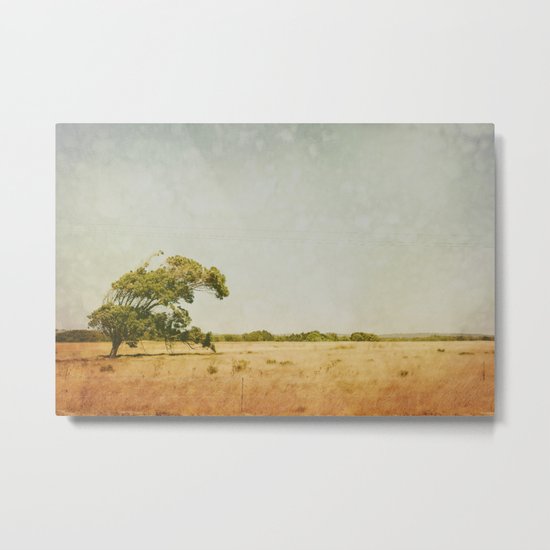 Summer Haze Metal Print