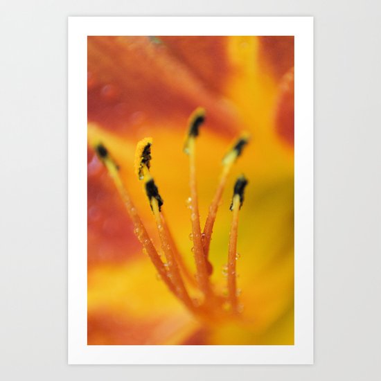 The pistils II Art Print