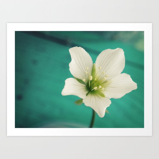 Venus Art Print